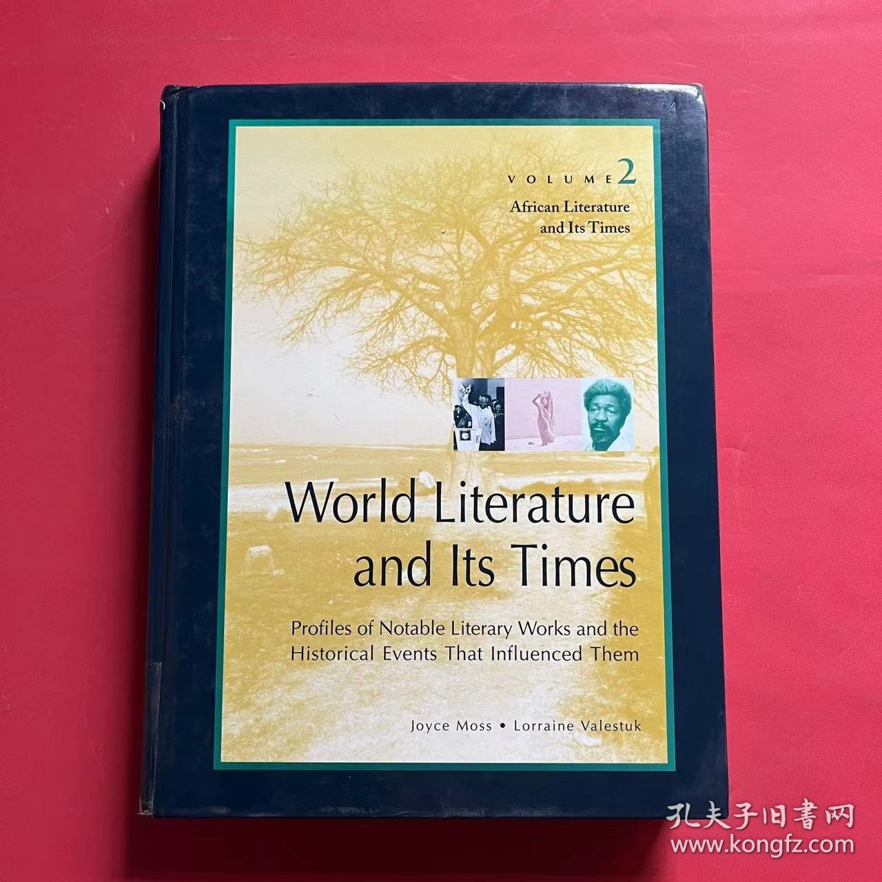 World Literature and Its Times Volume 2 African Literature and lts Times（世界文学与时代 第2卷非洲文学）