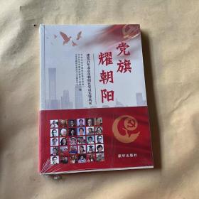 党旗耀朝阳：建党百年北京市朝阳区党员先锋风采