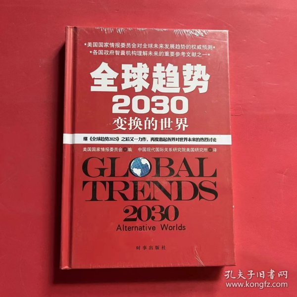 全球趋势2030：变幻的世界（精装）