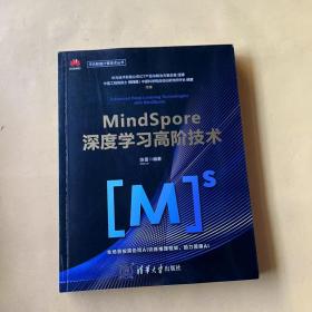 MindSpore深度学习高阶技术