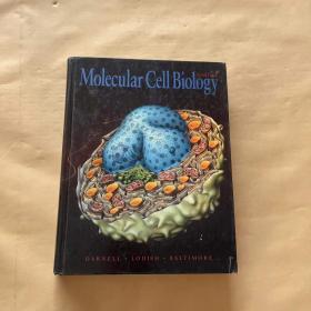 Molecu;ar cellBiology