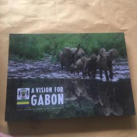 A VISION FOR GABON