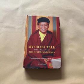 my crazy tale the gyalwang drukpa