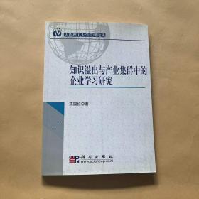 知识溢出与产业集群中的企业学习研究