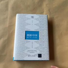 创新中国：激励、能力、行动与绩效/理想中国丛书