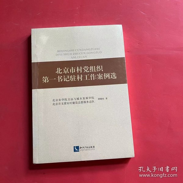 北京市村党组织第一书记驻村工作案例选