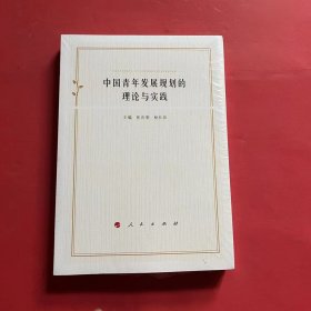 中国青年发展规划的理论与实践（全新未拆封）