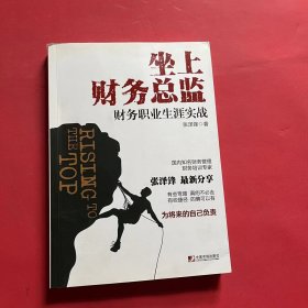 坐上财务总监：财务职业生涯实战