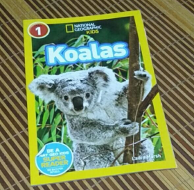 National Geographic Readers: Koalas 国际地理少儿版：可爱的卡拉