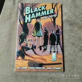 Black Hammer V1
