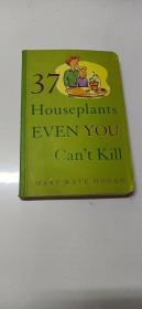 37 Houseplants Even You Can't Kill     37种室内植物