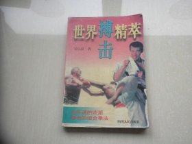 世界搏擊精萃