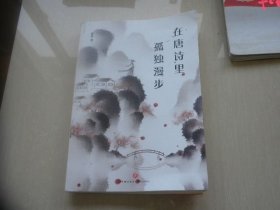 在唐诗里孤独漫步