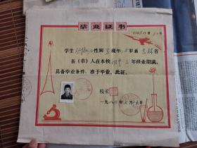 1980年  大安县第十二中学 毕业证书