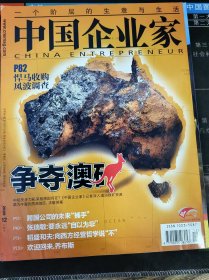 中国企业家 2009年第12期 总第341期