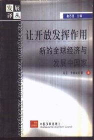 让开放发挥作用：新的全球经济与发展中国家