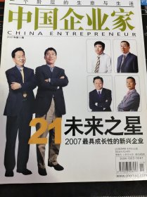中国企业家 2007年第11期 总第294期