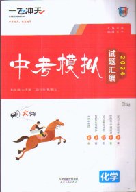 一飞冲天 2024中考模拟试题汇编 化学（二手书）