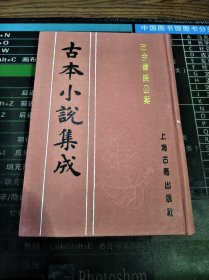 古本小说集成 古今律条公案（精装 影印）