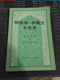 阿拉伯-伊斯兰文化史 第二册 近午时期 一