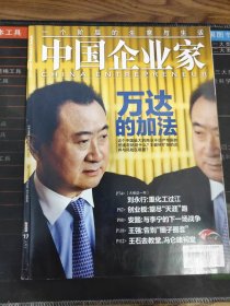 中国企业家 2009年第17期 总第346期