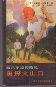 哈尔罗杰历险记 勇探火山口