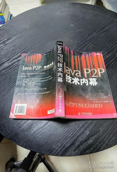 Java P2P技术内幕