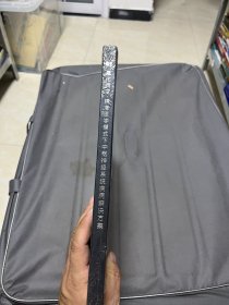 量化质变、精准医学模式下中枢神经系统疾病解决方案+量化质变 洞见未来：临床应用病例集锦（未拆封）