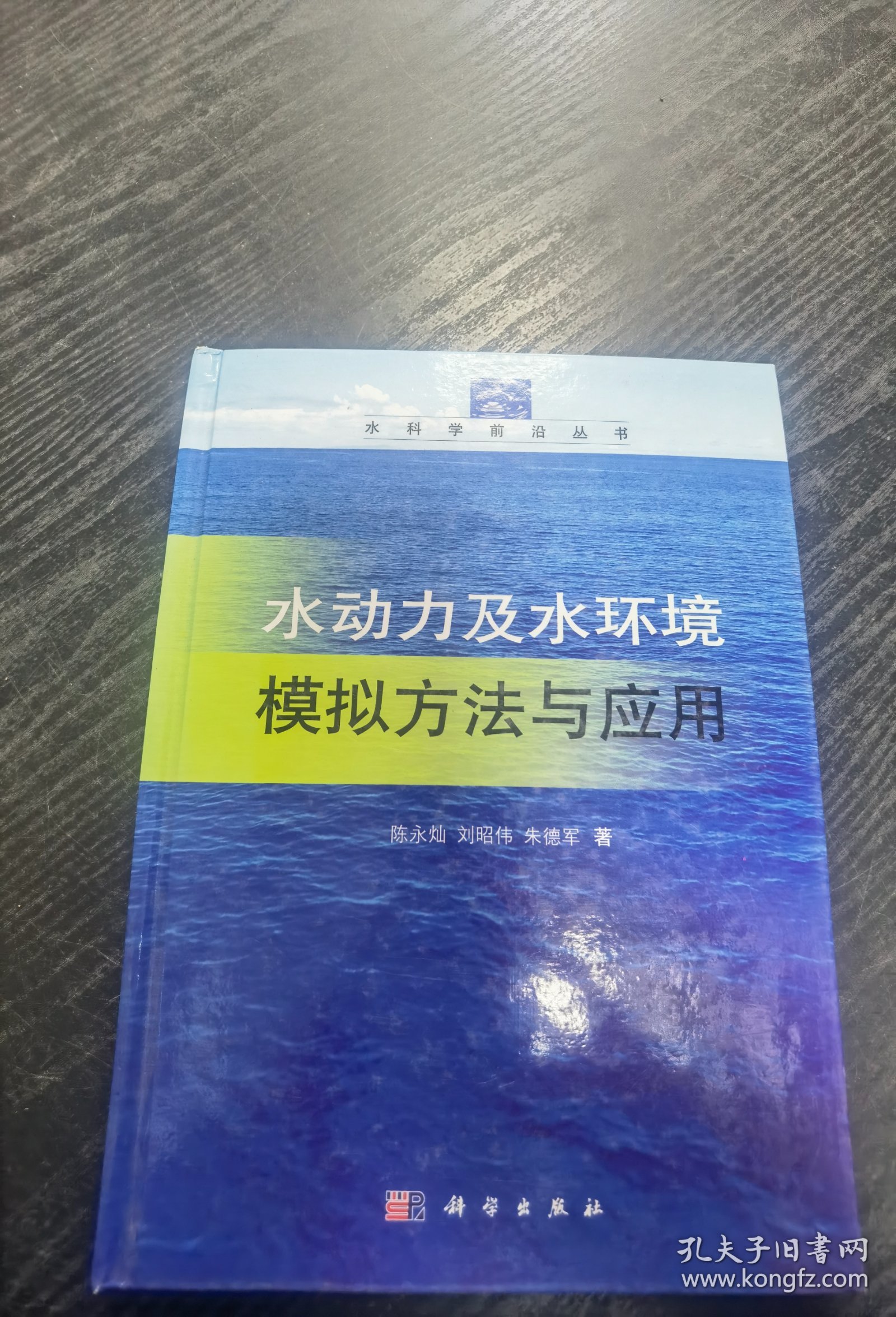 水科学前沿丛书：水动力及水环境模拟方法与应用