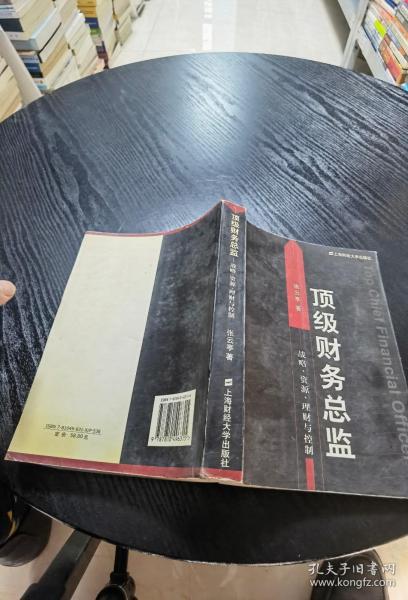 顶级财务总监: 战略资源理财与控制