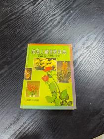 绘图儿童植物辞典