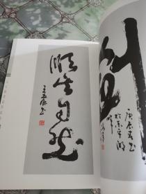 王玉振书法作品集