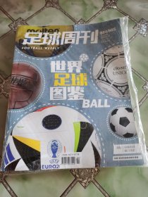 足球周刊 2024年 884/885两期合刊 世界足球图鉴 赠品齐全