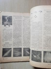 科学实验1976年第6期