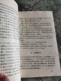 怨怨相报:慕尼黑奥运村惨案始末