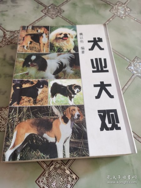 犬业大观