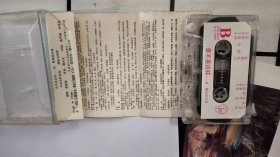 磁带； 是不是这样 肖雅独唱专辑