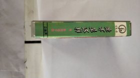 磁带； 是不是这样 肖雅独唱专辑