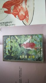 磁带： 朱明瑛 送你一颗勿忘草（第二辑）