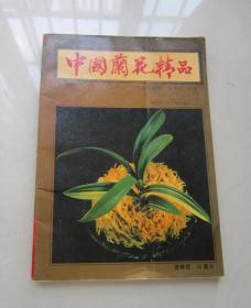 中国兰花精品   投资与栽培