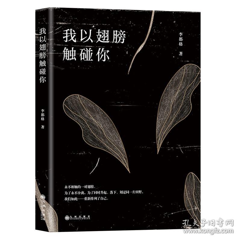 长篇小说：我以翅膀触碰你