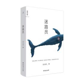 迷路员（青年小说家沈大成继《小行星掉在下午》后最新作品）