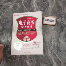 网络营销实务全书：突破传统营销平台的全新模式