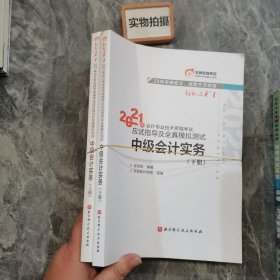 轻松过关1 2021年会计专业技术资格考试应试指导及全真模拟测试 中级会计实务  上下册  合售