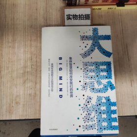 大思维：集体智慧如何改变我们的世界