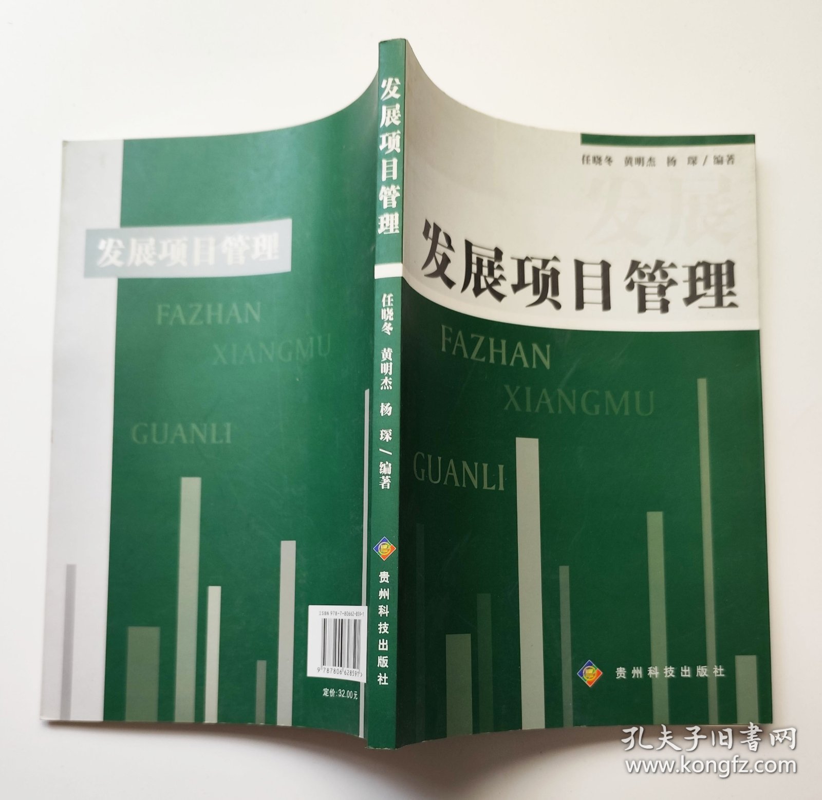 点击查看原图 发展项目管理