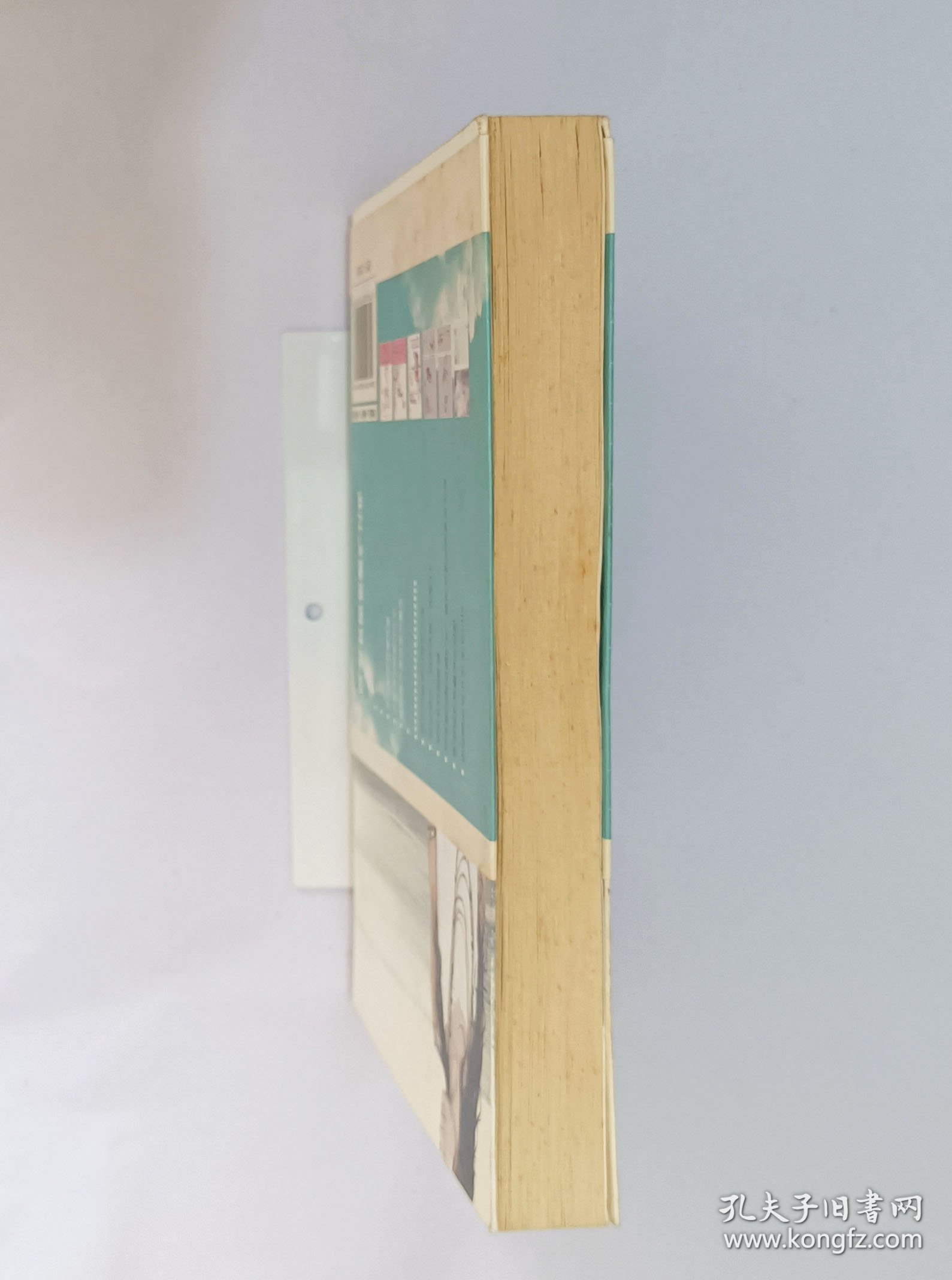 你是我的向往,永远的光