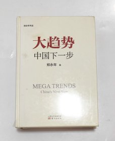 大趋势：中国下一步［精装］