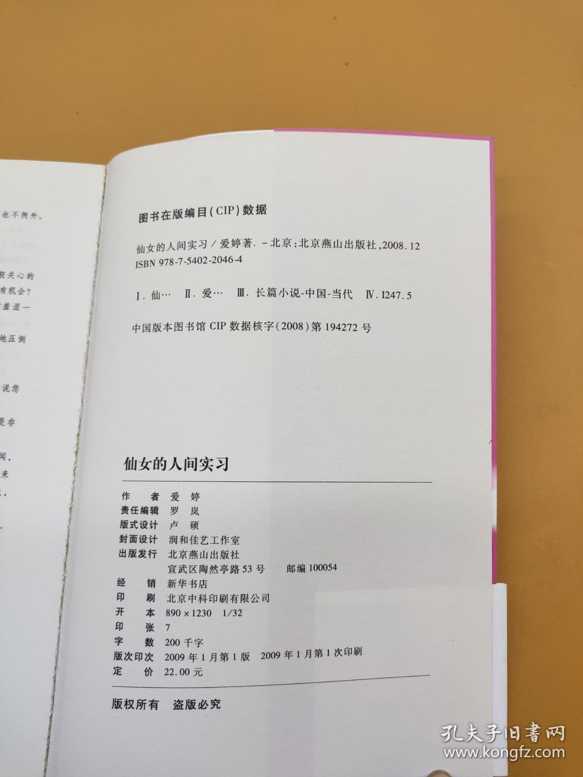 仙女的人间实习