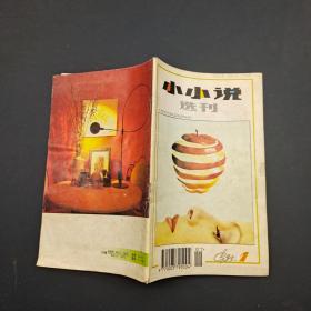 小小说选刊  1995  1